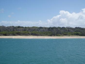 Fraser Island by Mirjam S.