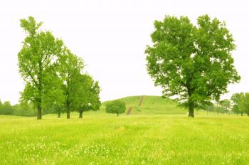 Cahokia Mounds by Frederik Dawson