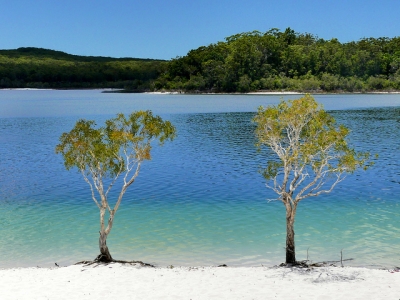 Fraser Island by Clyde