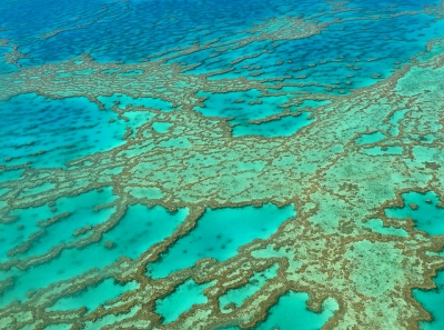 Great Barrier Reef by Clyde