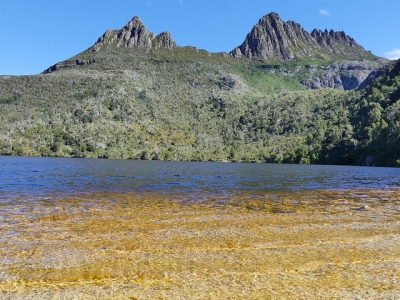 Tasmanian Wilderness by Clyde