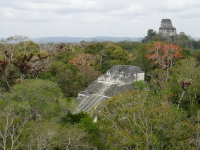 Tikal National Park by Frédéric M
