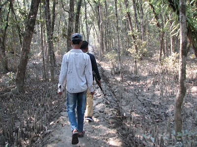 The Sundarbans by Els Slots
